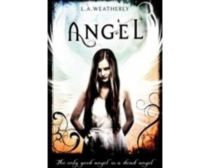 Angel Wisdom Guides Lost And Weary