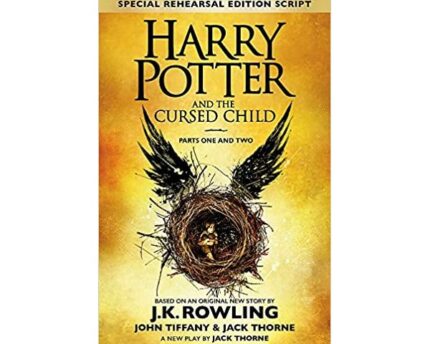 Harry Potter Cursed Child Brings Unexpected Challenges