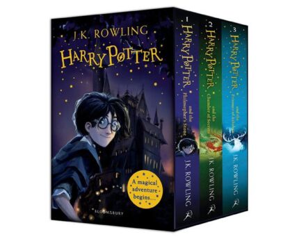 Harry Potter Journey From Ordinary To Extraordinary