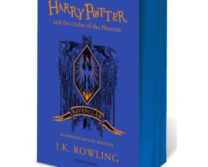 Harry Potter Ravenclaw Standing Strong Against Evil