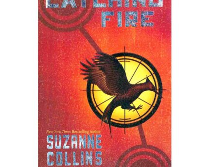 Hunger Games Catching Fire Flames Rise High