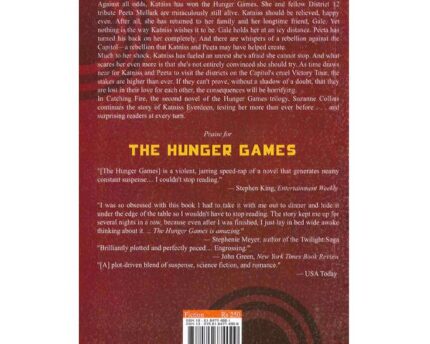 Hunger Games Catching Fire Flames Rise High