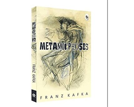 Metamorphosis A Life Reduced To Burden