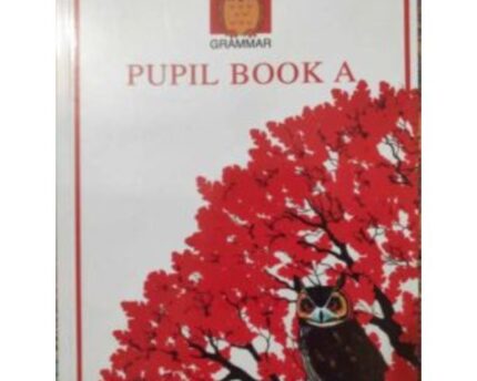 Nelson Pupil Book A Gramma