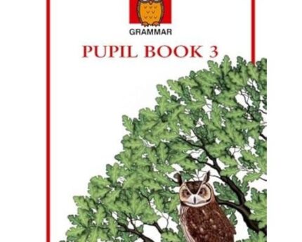 Strengthen Writing Skills With Pupil Workbook