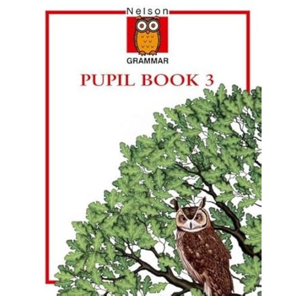 Strengthen Writing Skills With Pupil Workbook Strengthen Writing Skills With Pupil Workbook