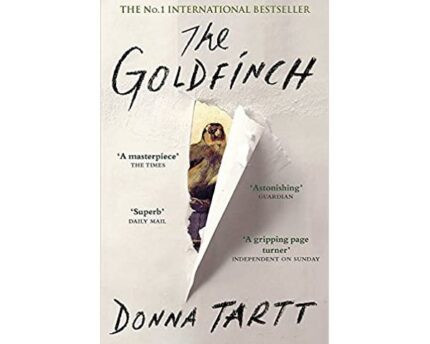 The Goldfinch Darkness Lurks Behind Beauty