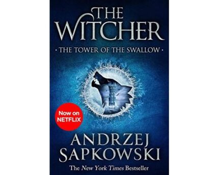 The Witcher Dark Fate At Swallow Tower
