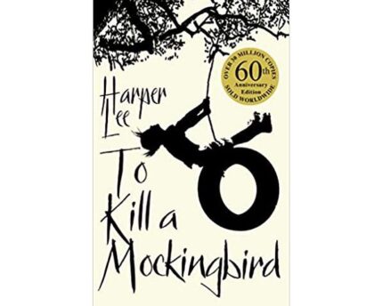 To Kill A Mockingbird Seeing Beyond Prejudice