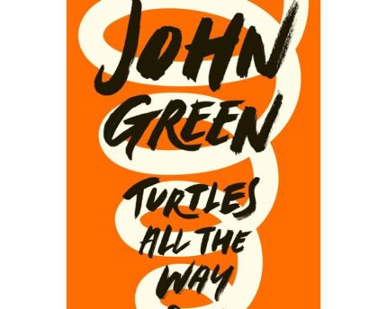 Turtles All The Way Down Secrets Revealed Slowly