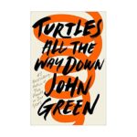 Turtles All The Way Down Truth